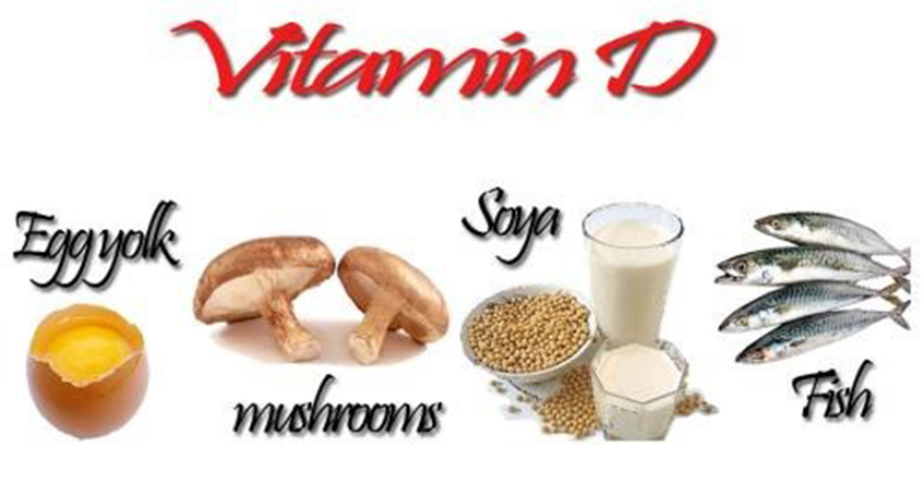 NHỮNG LOẠI THỰC PHẨM GIÀU VITAMIN D & CANXI