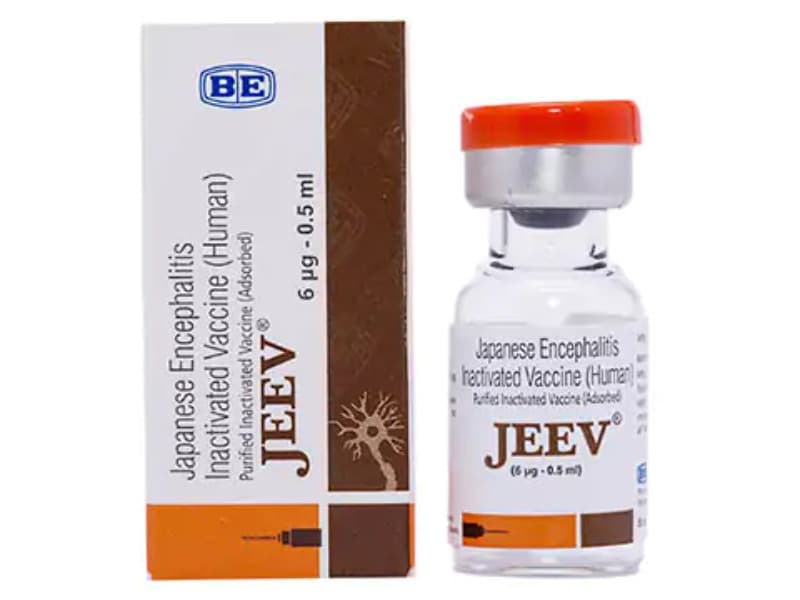 JEEV 6MCG (VX) - ảnh 1